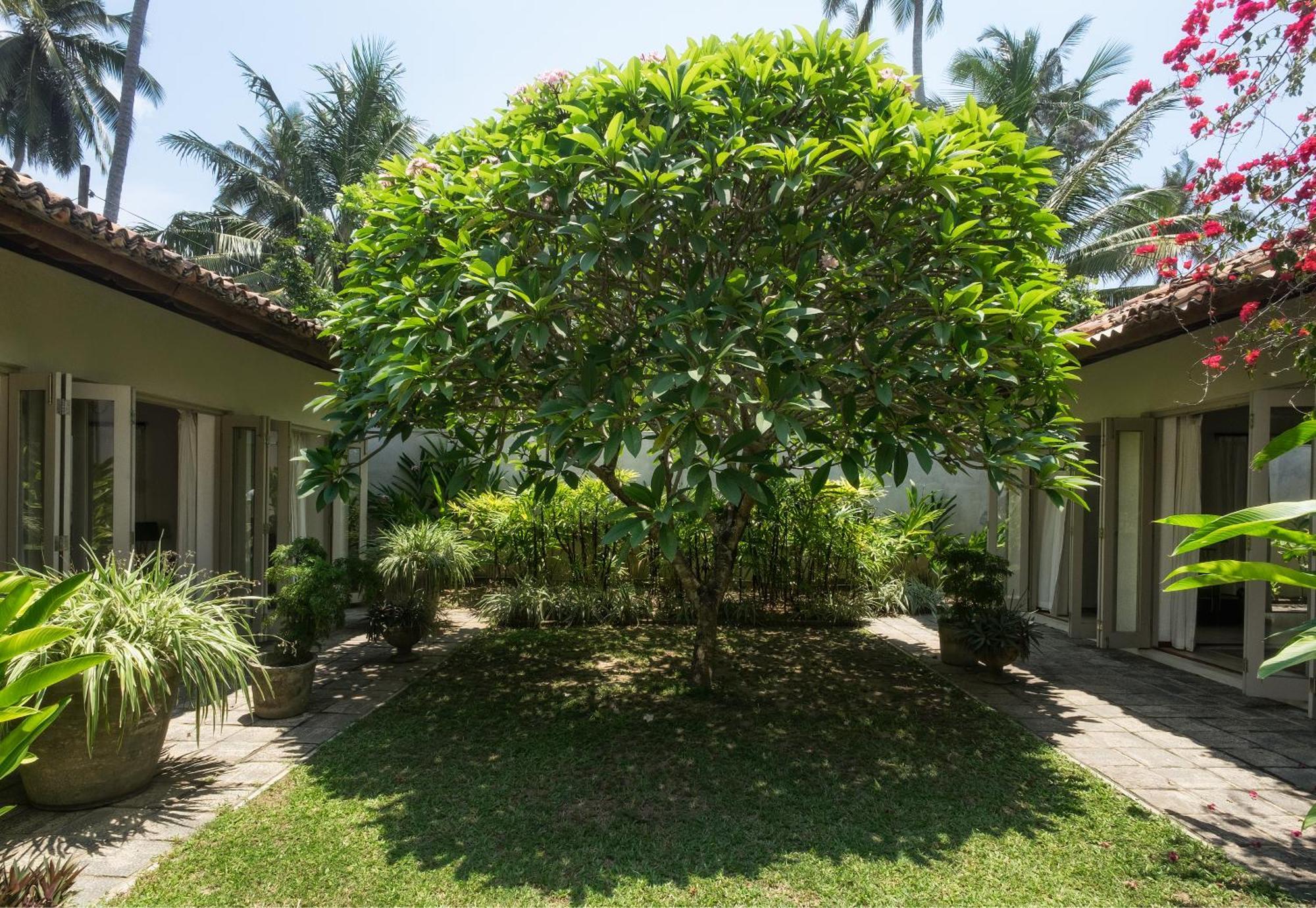 Hotel Elysium Unawatuna Exteriér fotografie